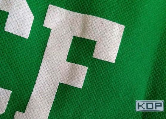 Eco-διαλυτικός τυπωμένος μελάνι καμβάς μεταλλινών χρωστικών ουσιών χρωστικών ουσιών μη-ύφανσης πολυεστέρα